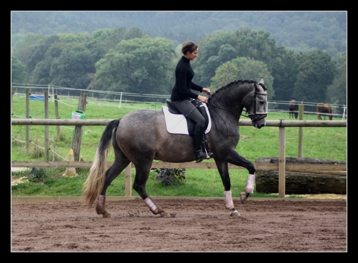 Photo de profil de syltem