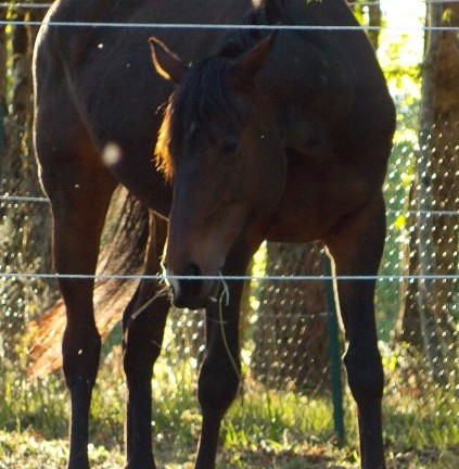 Photo de profil de tasska