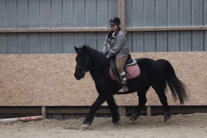 Photo de profil de the.golden.pony