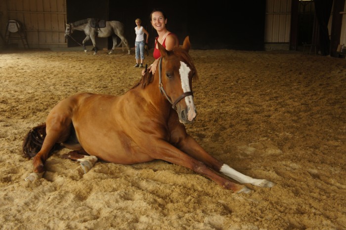 Photo de profil de tilde