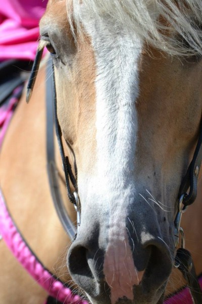 Photo de profil de tretre