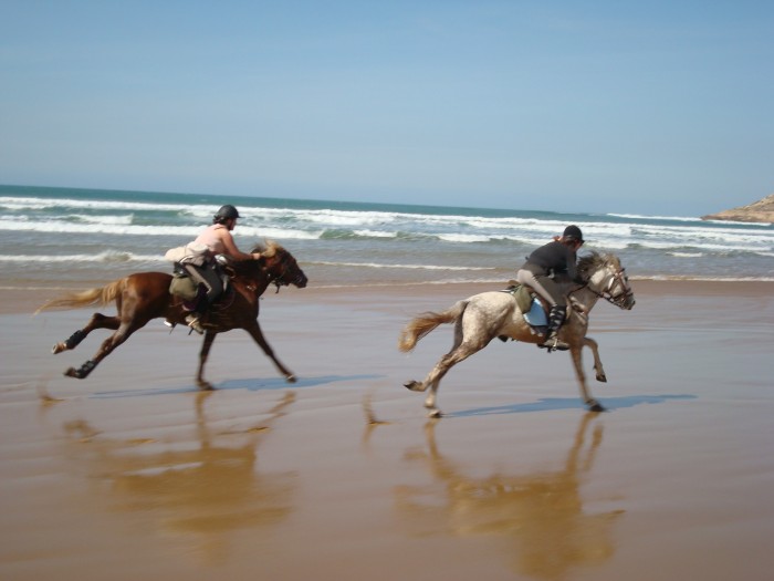 Photo de profil de tsume