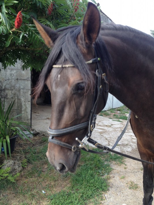 Photo de profil de unidadepreville