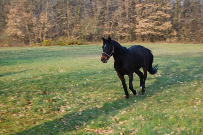 Photo de profil de usha