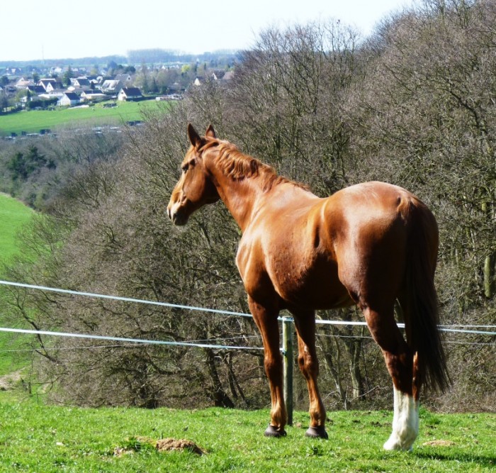 Photo de profil de vberthier