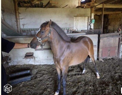 Photo de profil de veronicat