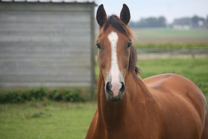 Photo de profil de versacecile