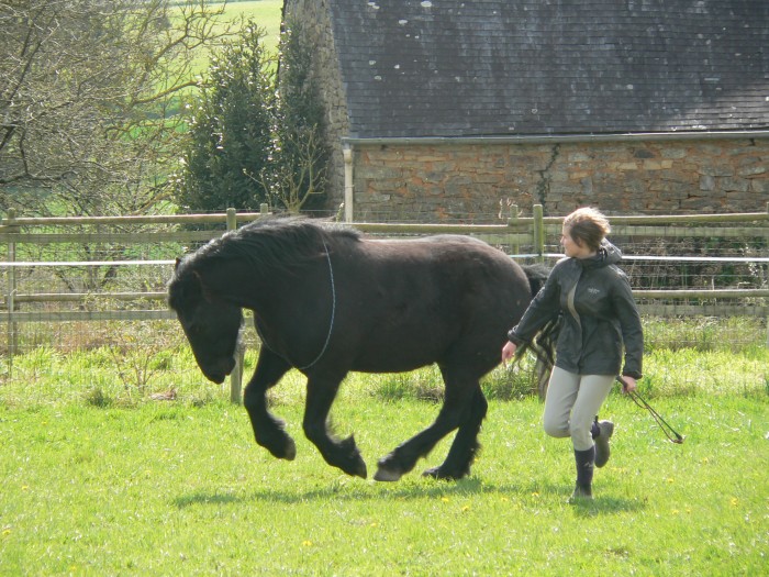 Photo de profil de violainev