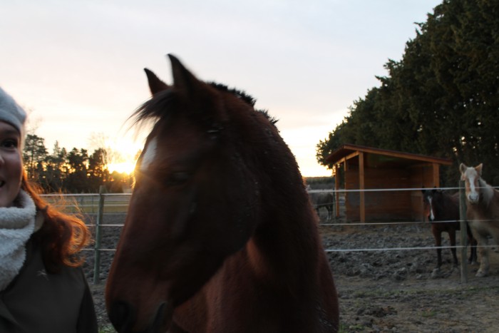 Photo de profil de weeseponi