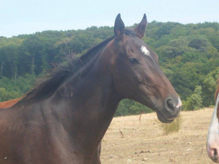 Photo de profil de whisper_audrey