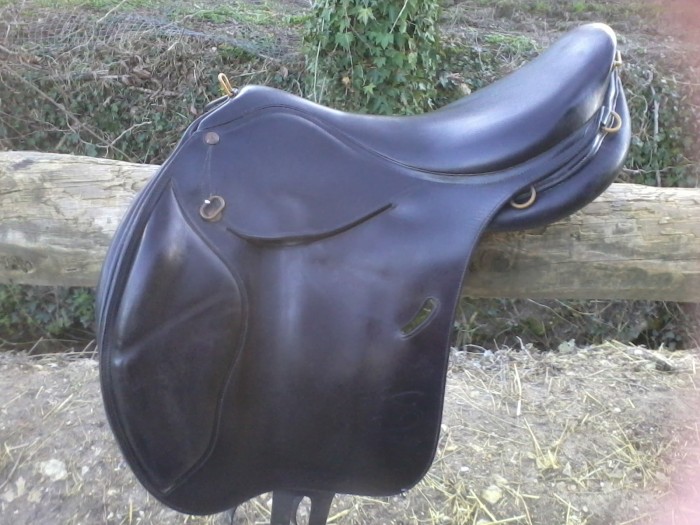 Photo de profil de wild.6.child