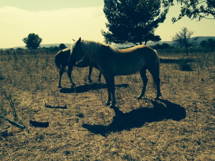 Photo de profil de willfried21