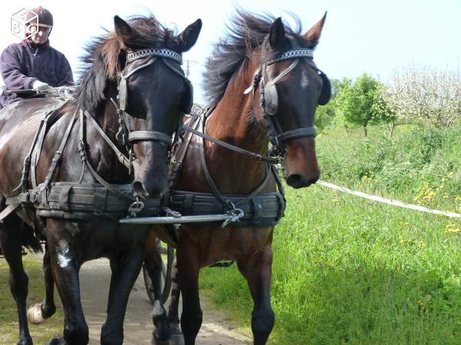 Photo de profil de yjnety