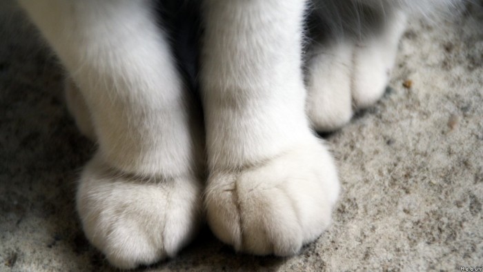 Photo de profil de ysteis