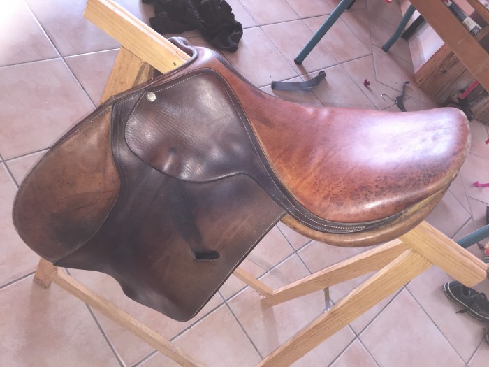 Photo de profil de zabeth31