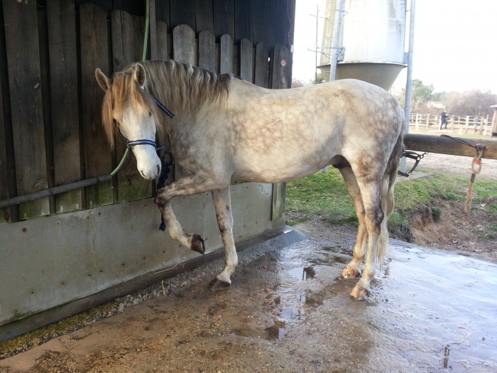 Photo de profil de zevim