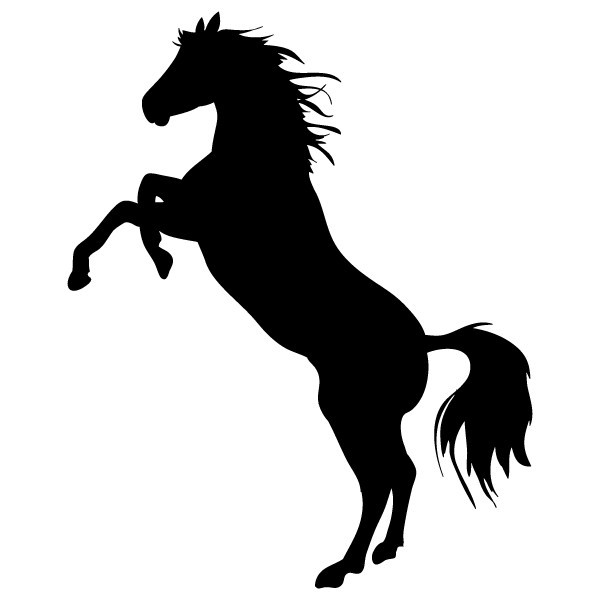 Photo de profil de zobou