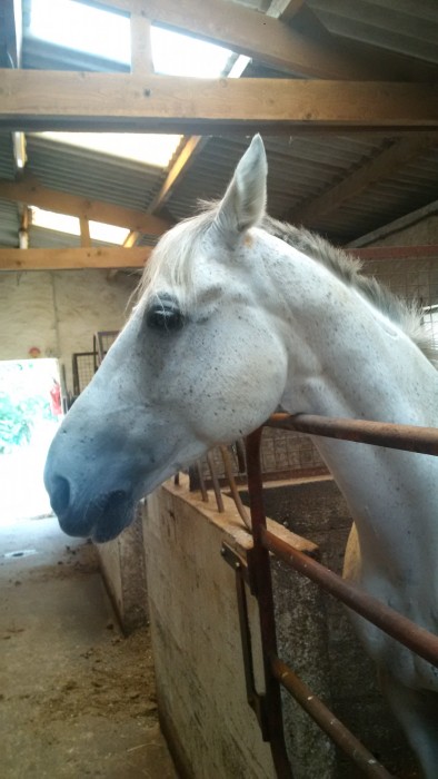 Photo de profil de zoe.tess