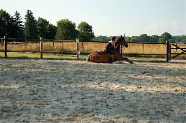 Photo de profil de zuid_