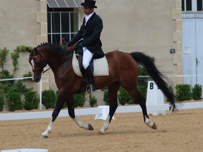 Photo de profil de -----