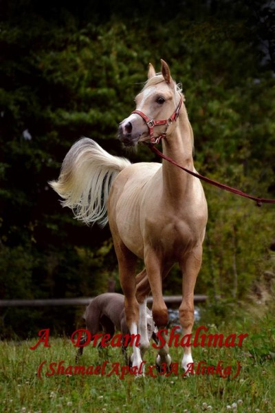 Photo de profil de 0diane0