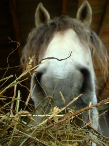 Photo de profil de 10coco