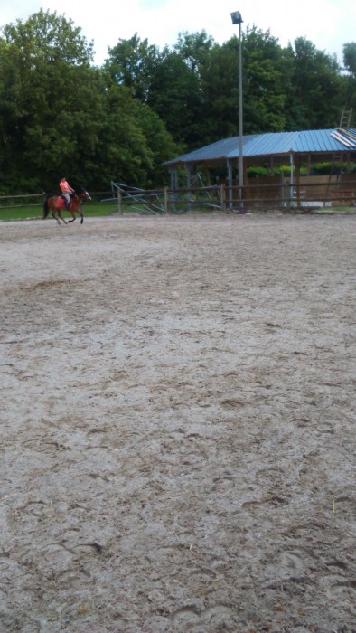 Photo de profil de 12chloe12