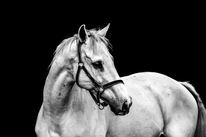 Photo de profil de 12samantha