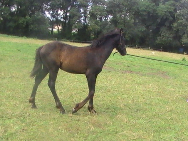 Photo de profil de 1frison