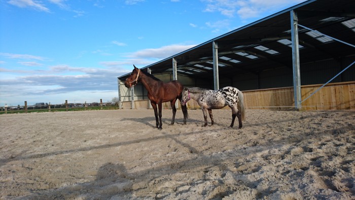 Photo de profil de 62marine