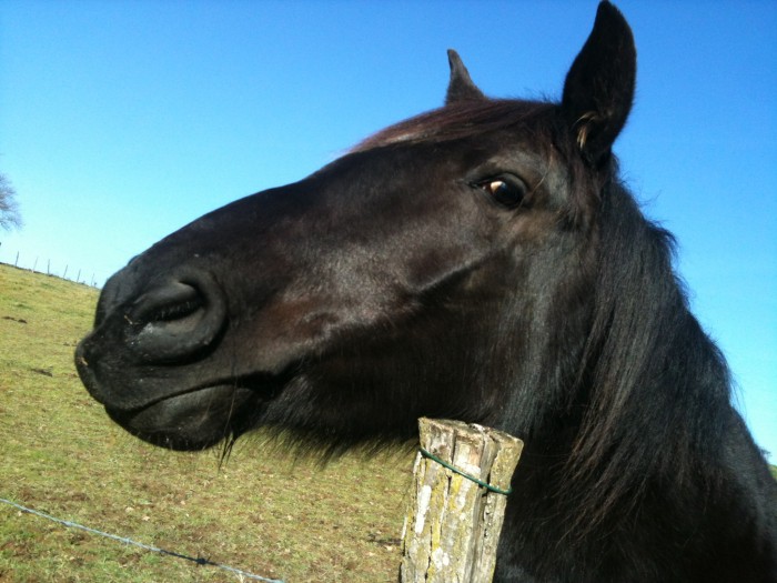 Photo de profil de 69brume