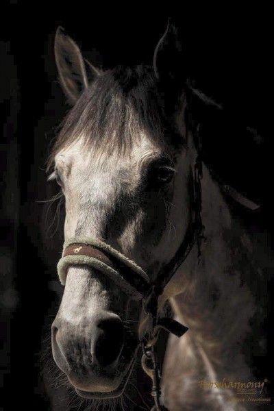 Photo de profil de 83lolo