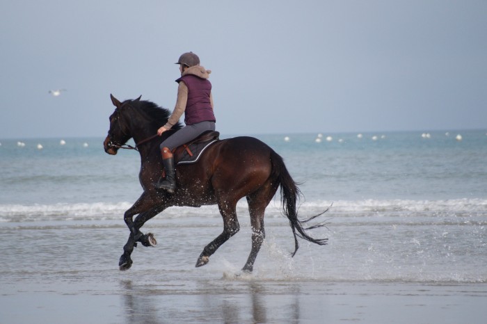 Photo de profil de aaudrey
