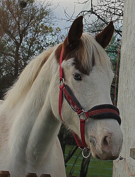 Photo de profil de abs85