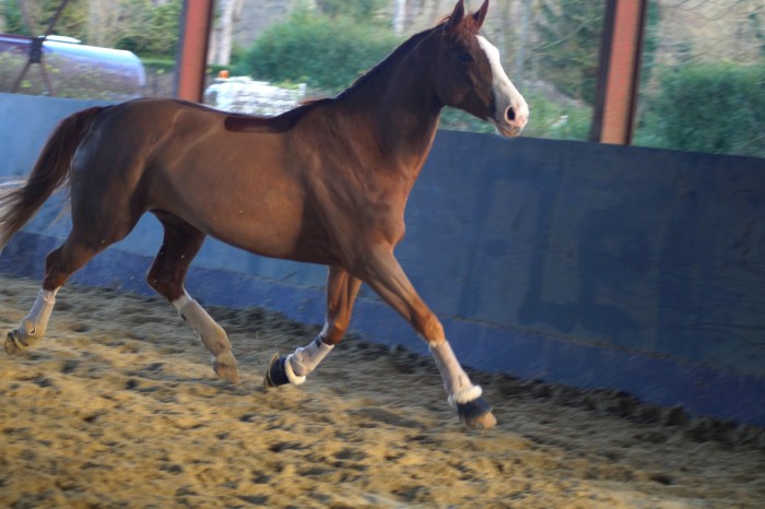 Photo de profil de a.des