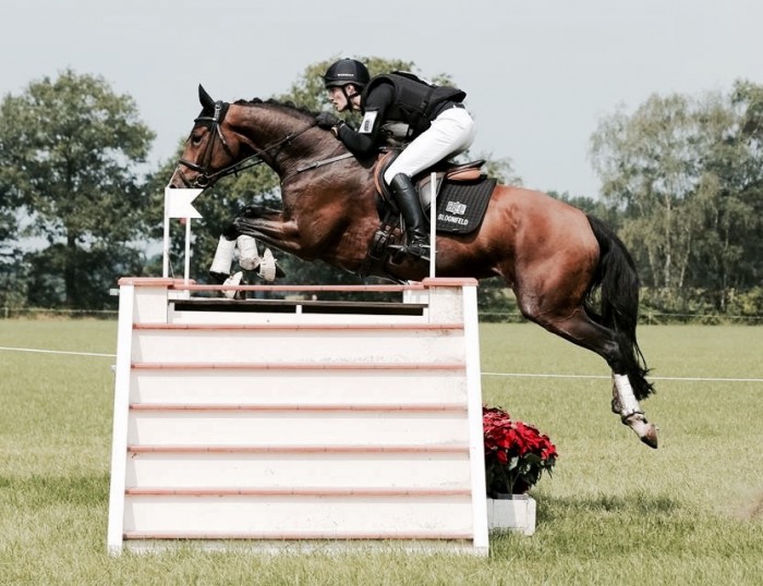 Photo de profil de adindarinia