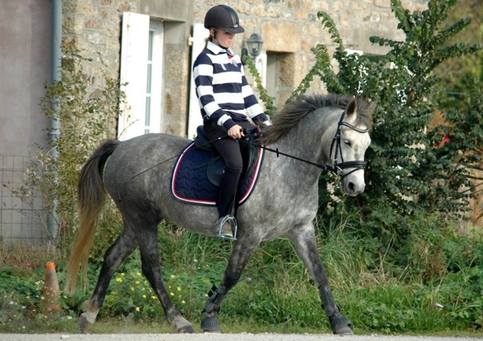 Photo de profil de aeliaetullette