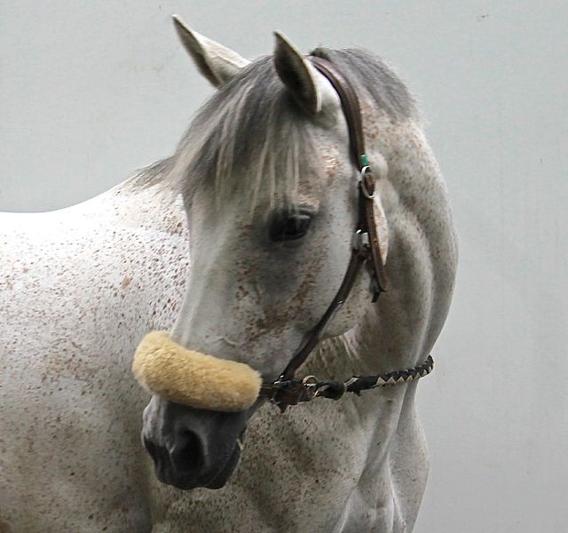 Photo de profil de agdb75