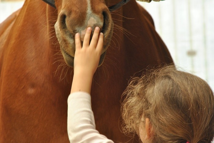 Photo de profil de aglae78