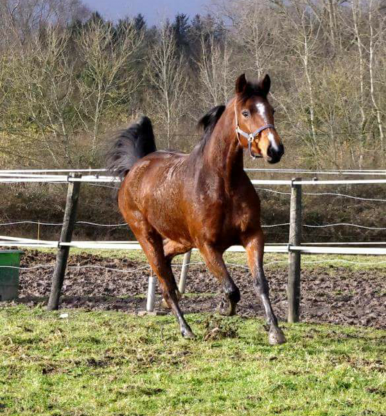 Photo de profil de akinea