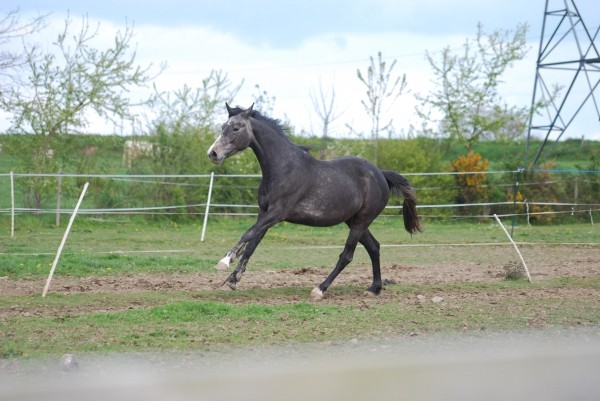 Photo de profil de aksy35