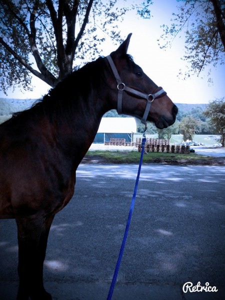 Photo de profil de alanis
