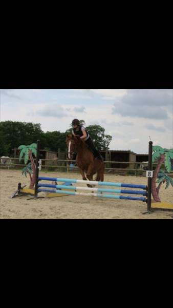 Photo de profil de alexandra.nabor