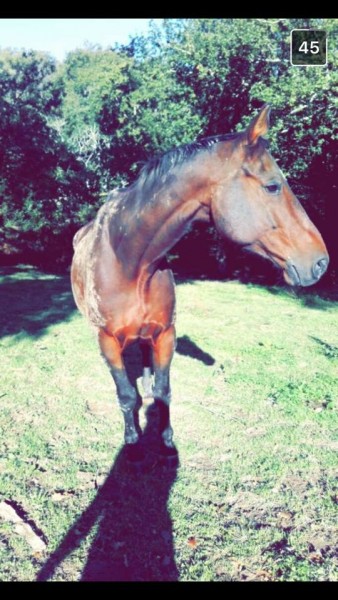 Photo de profil de alexandreest