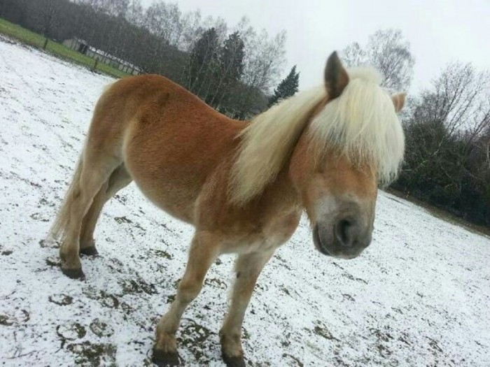 Photo de profil de alexminoi