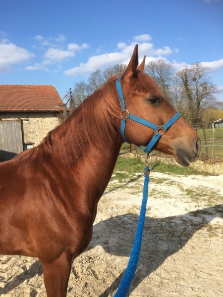 Photo de profil de alexoracio