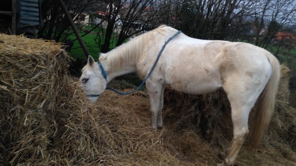 Photo de profil de alexx62