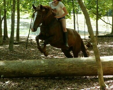 Photo de profil de alexxx.38