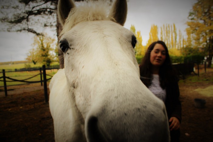 Photo de profil de alice1999