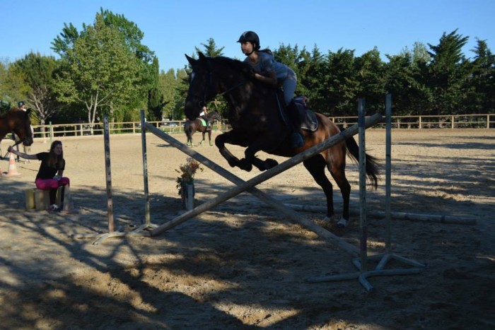 Photo de profil de alice.chps